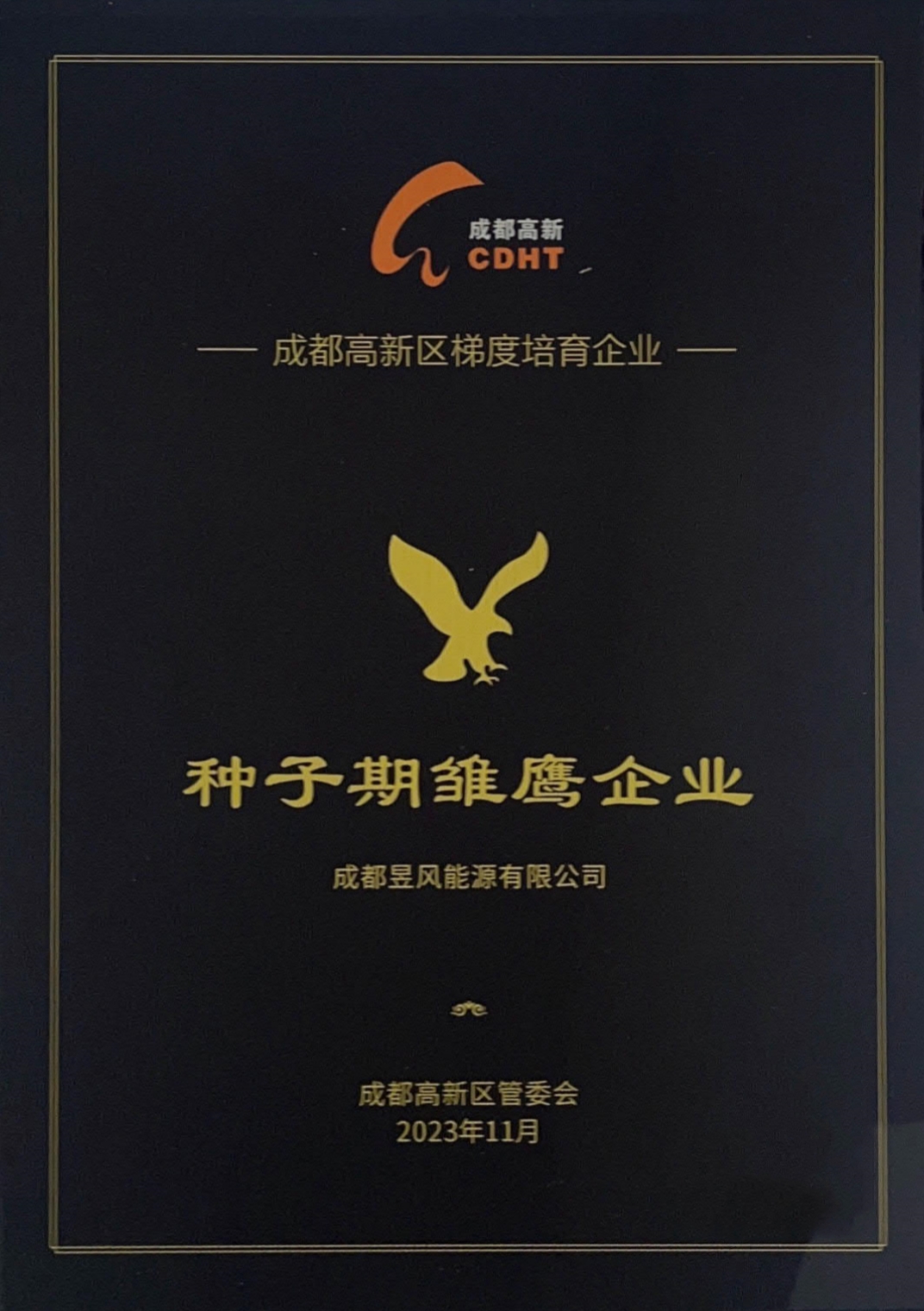 种子期雏鹰企业